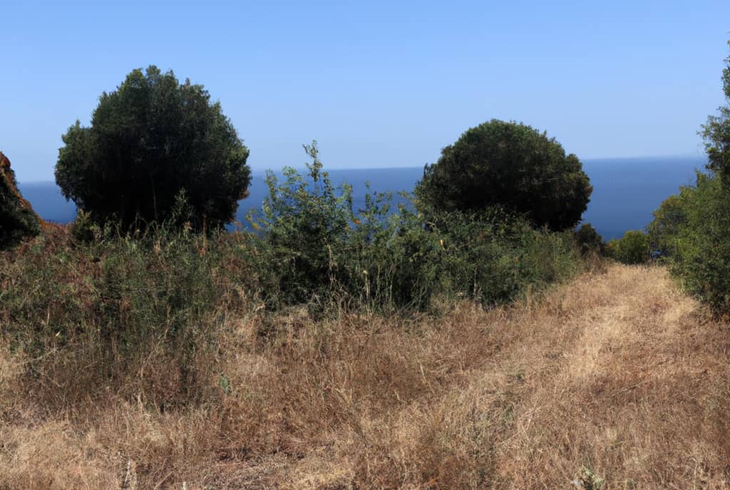 Land for sale in Málaga