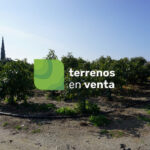 Terreno Rustico en Venta en Algarrobo