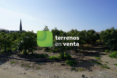 Terreno Rustico en Venta en Algarrobo