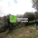 Terreno Rustico en Venta en Algatocin