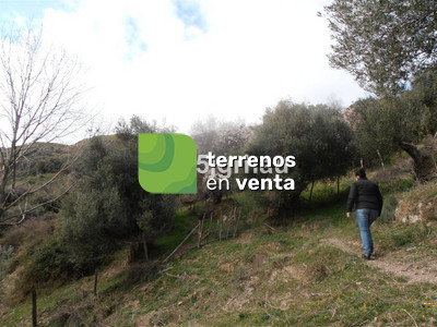 Terreno Rustico en Venta en Algatocin