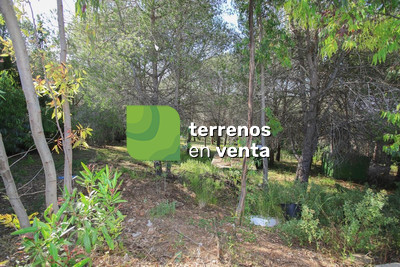 Terreno Rustico en Venta en Alhaurín de la Torre