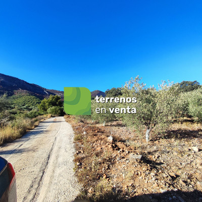 Terreno Rustico en Venta en Alhaurín el Grande