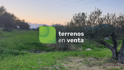 Rustic Land for Sale in Alhaurín el Grande