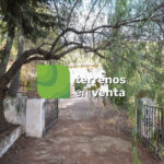 Rustic Land for Sale in Alozaina