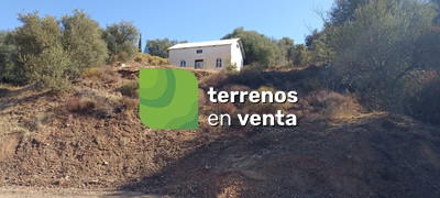 Plot for Sale in Atalaya