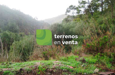 Terreno Rustico en Venta en Benahavís