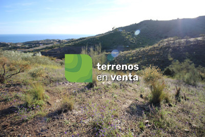 Terreno Rustico en Venta en Benajarafe