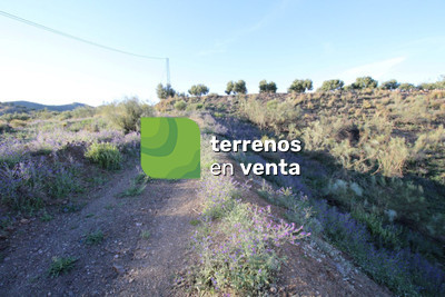 Terreno Rustico en Venta en Benajarafe