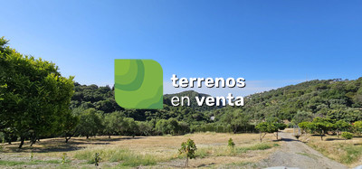 Rustic Land for Sale in Casares