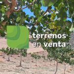 Terreno Rustico en Venta en Cañete la Real