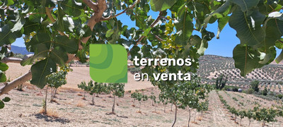 Terreno Rustico en Venta en Cañete la Real