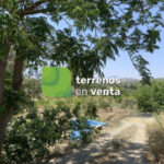 Terreno Rustico en Venta en Coín