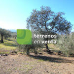 Terreno Rustico en Venta en Coín