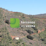 Terreno Rustico en Venta en El Borge