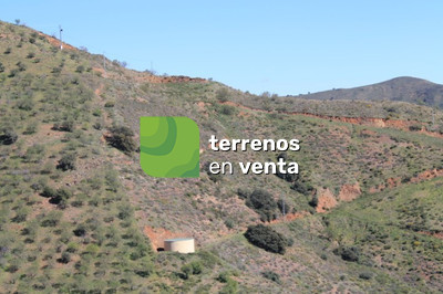 Terreno Rustico en Venta en El Borge