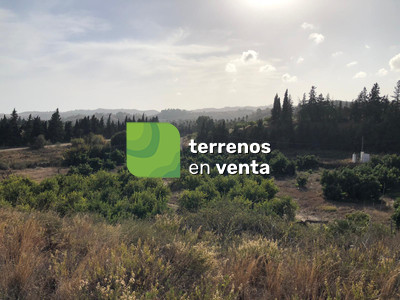 Terreno Rustico en Venta en Entrerrios