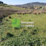 Terreno Rustico en Venta en Estepona