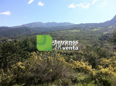 Terreno Rustico en Venta en Gaucín