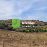 Terreno Rustico en Venta en Guaro