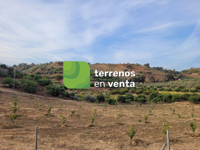 Terreno Rustico en Venta en Guaro