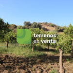 Terreno Rustico en Venta en Guaro