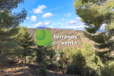 Terreno Rustico en Venta en Guaro