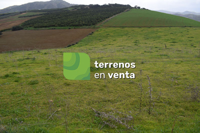 Rustic Land for Sale in Guaro