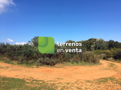 Terreno Rustico en Venta en Manilva