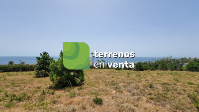 Terreno Rustico en Venta en Manilva