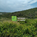 Terreno Rustico en Venta en Manilva