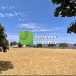 Terreno Rustico en Venta en Mijas