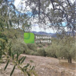 Terreno Rustico en Venta en Riogordo