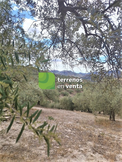 Terreno Rustico en Venta en Riogordo