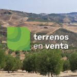 Terreno Rustico en Venta en Ronda