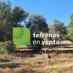 Terreno Rustico en Venta en San Pedro de Alcántara