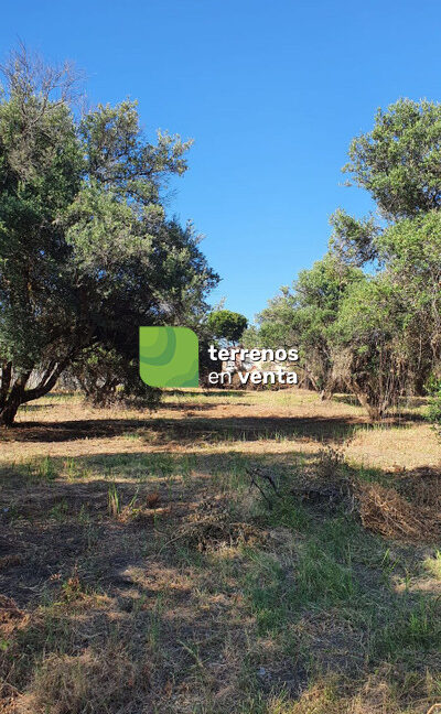 Terreno Rustico en Venta en San Pedro de Alcántara