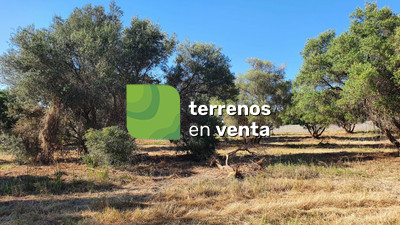 Rustic Land for Sale in San Pedro de Alcántara