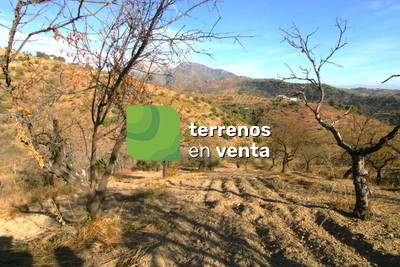 Terreno Rustico en Venta en Tolox