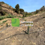 Terreno Rustico en Venta en Torrox