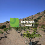 Terreno Rustico en Venta en Totalán