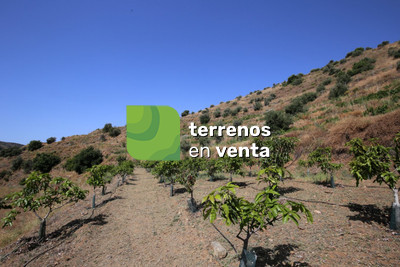 Terreno Rustico en Venta en Totalán