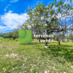 Urban Land for Sale in Alhaurín el Grande