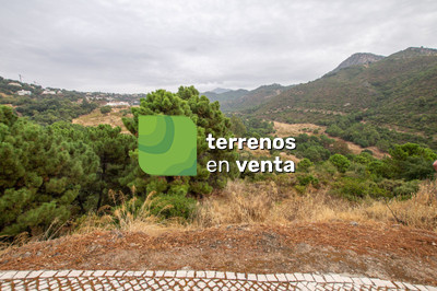 Urban Land for Sale in Benahavís