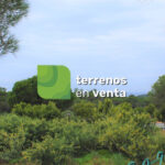 Terreno Urbano en Venta en Elviria