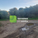 Terreno Urbano en Venta en Elviria