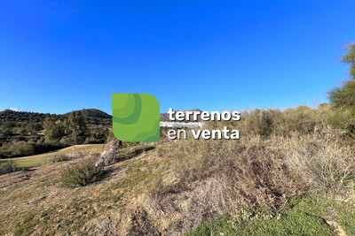 Urban Plot for Sale in Estepona