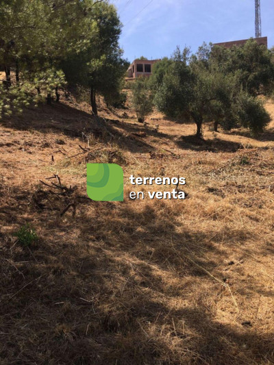 Terreno Urbano en Venta en Hacienda Las Chapas