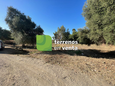 Terreno Urbano en Venta en Hacienda Las Chapas