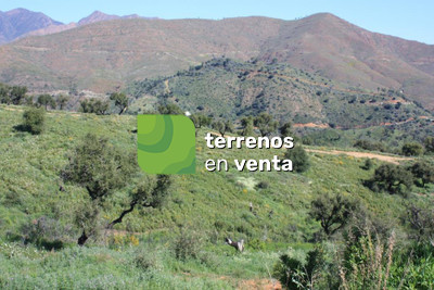 Terreno Urbano en Venta en La Mairena